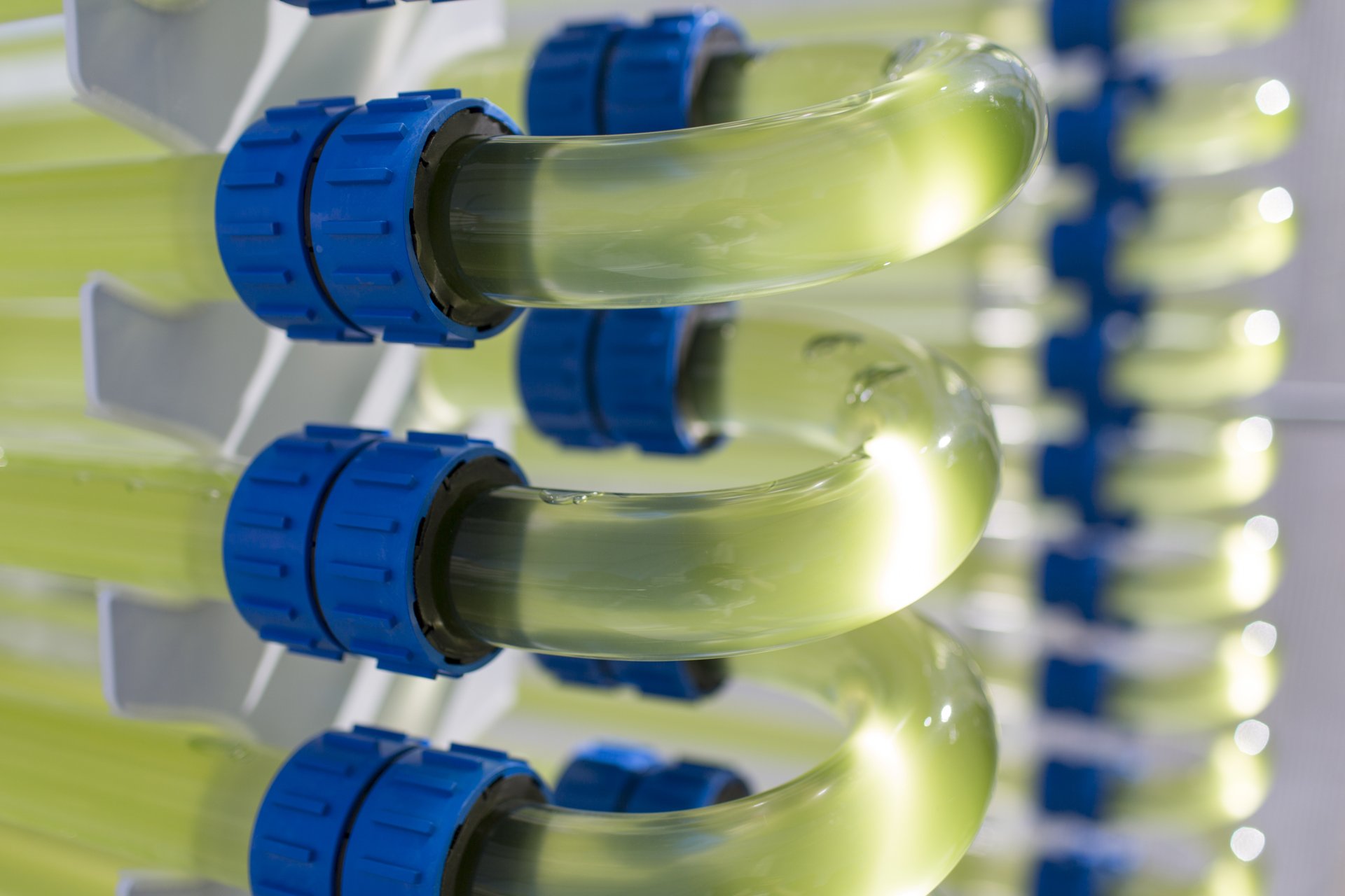 An algae bioreactor in the Industry 4.0 Testlab at the University of Technology Sydney.