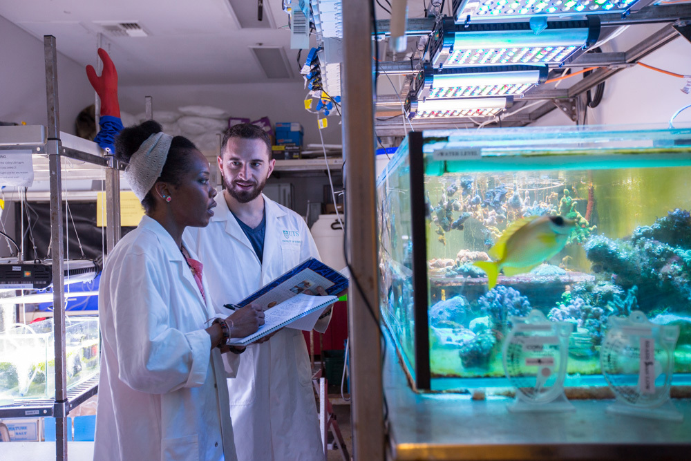Two researchers observe fish in a tank in a laboratory.